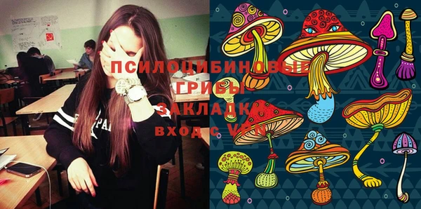 хмурый Балабаново